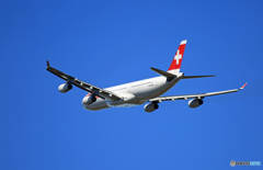 「青い空」が一番 SWISS A340-313 HB-JMM