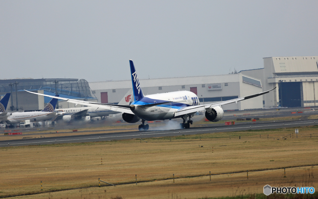 到着 ANA 787-8 JA820A