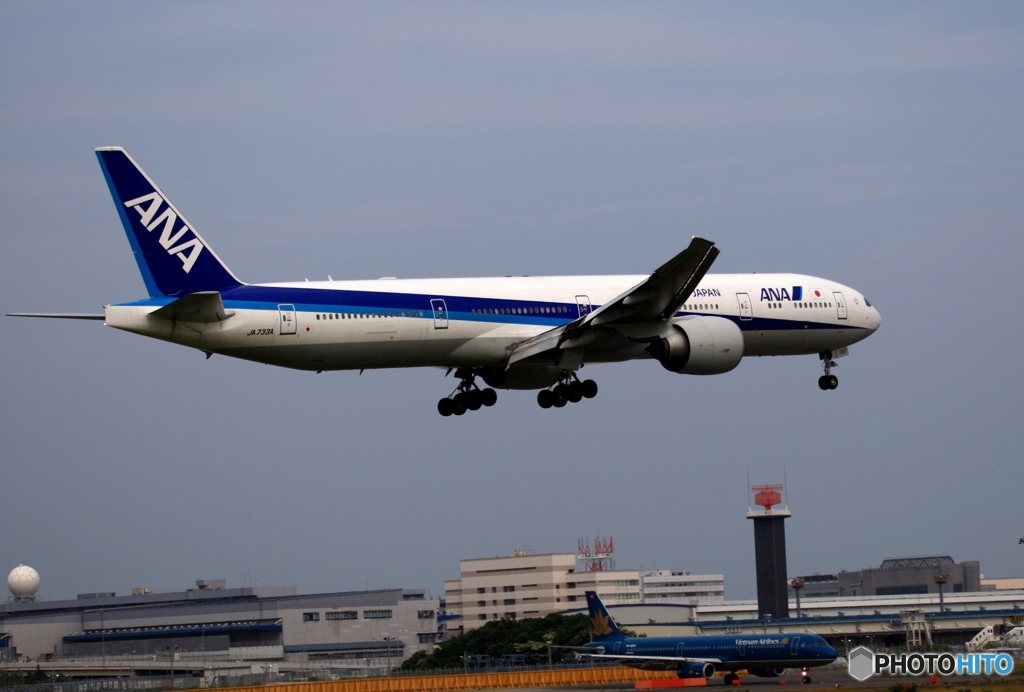 ANA 777-300