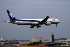ANA 777-300