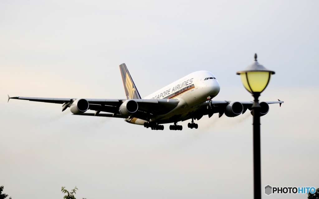着陸  Singapore A380-841 