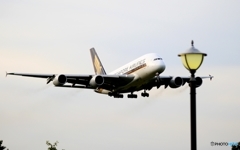 着陸  Singapore A380-841 