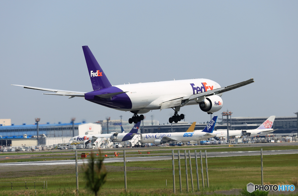 「青が大好き」 FedEx 777-FS2 N805FD  Landing