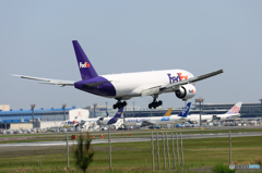 「青が大好き」 FedEx 777-FS2 N805FD  Landing