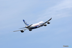 飛び立ちNCA 747-8KZF JA18KZジャンボ保存委員会