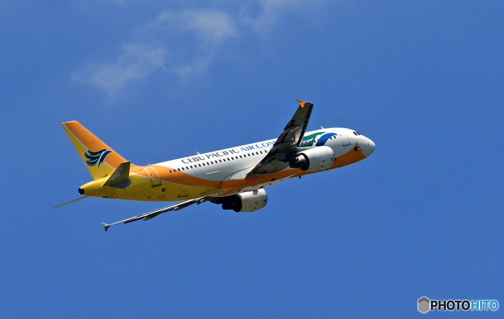 [青空] CEBU A320-214 RP-C3238
