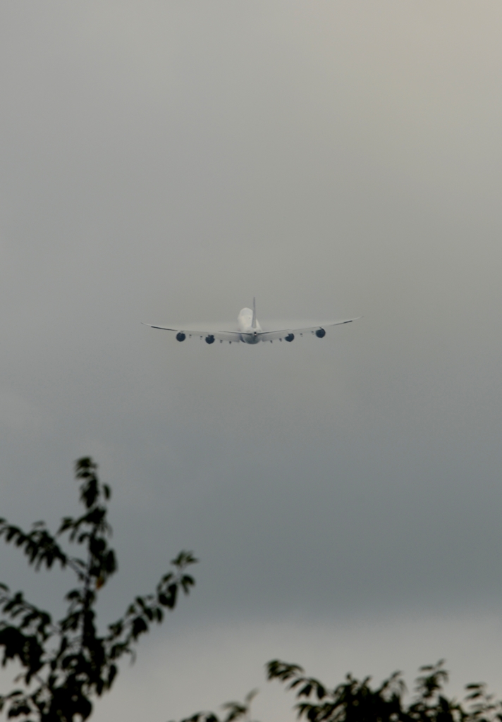 NCA 747-8F ﾍﾞｲﾊﾟｰ?
