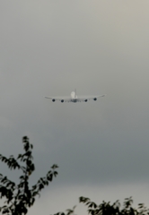 NCA 747-8F ﾍﾞｲﾊﾟｰ?