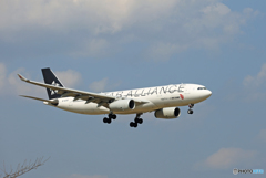 「スカイ」 China STAR A330-243 B-6093着陸