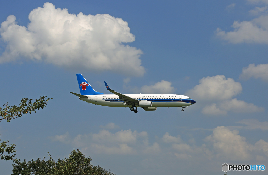 中国南方737-800 B-5675 到着 