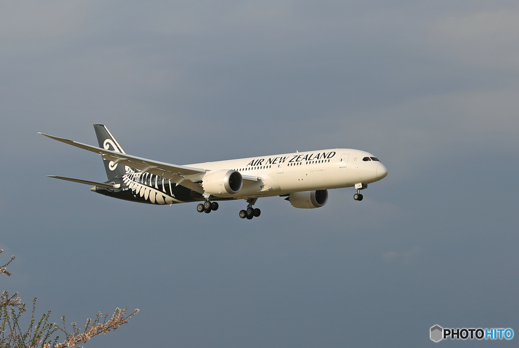 「青空」 Air NZ' 787-9 ZK-NZK 到着 