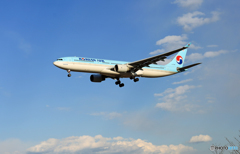 「SKY」 KOREAN A330-323 HL7585  Landing