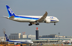 「青い空」が一番 新旧 787-9 JA880A 「青い空」が一番 新旧 787-9 JA880A