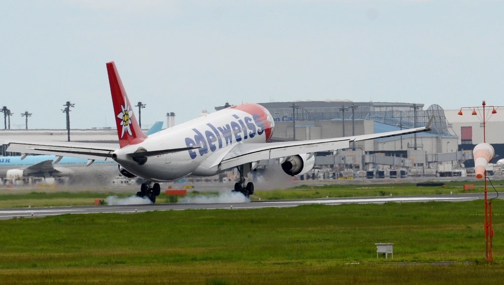 着陸（9-2）edelweiss A330-200 [b]