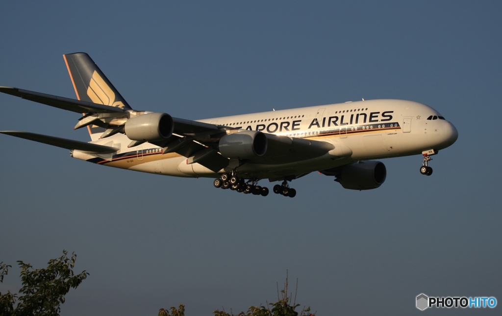 Singapore A380-841 到着　