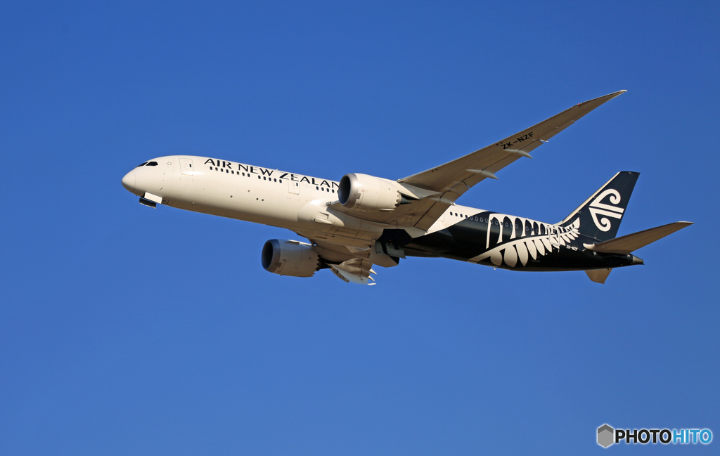 「青空」Air New Zealand B787-9 ZK-NZF離陸