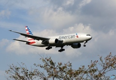 到着　American 777-223