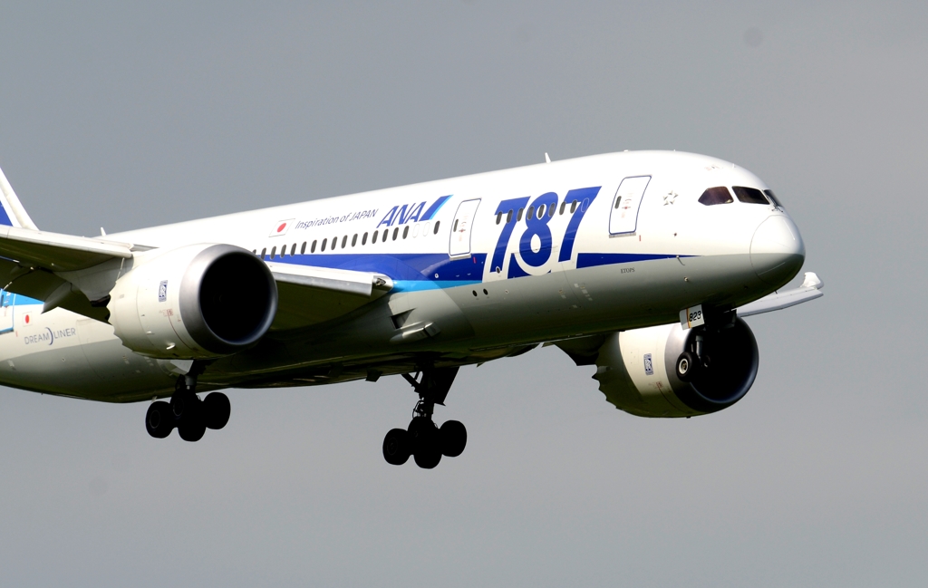 着陸（110）ANA 787-8