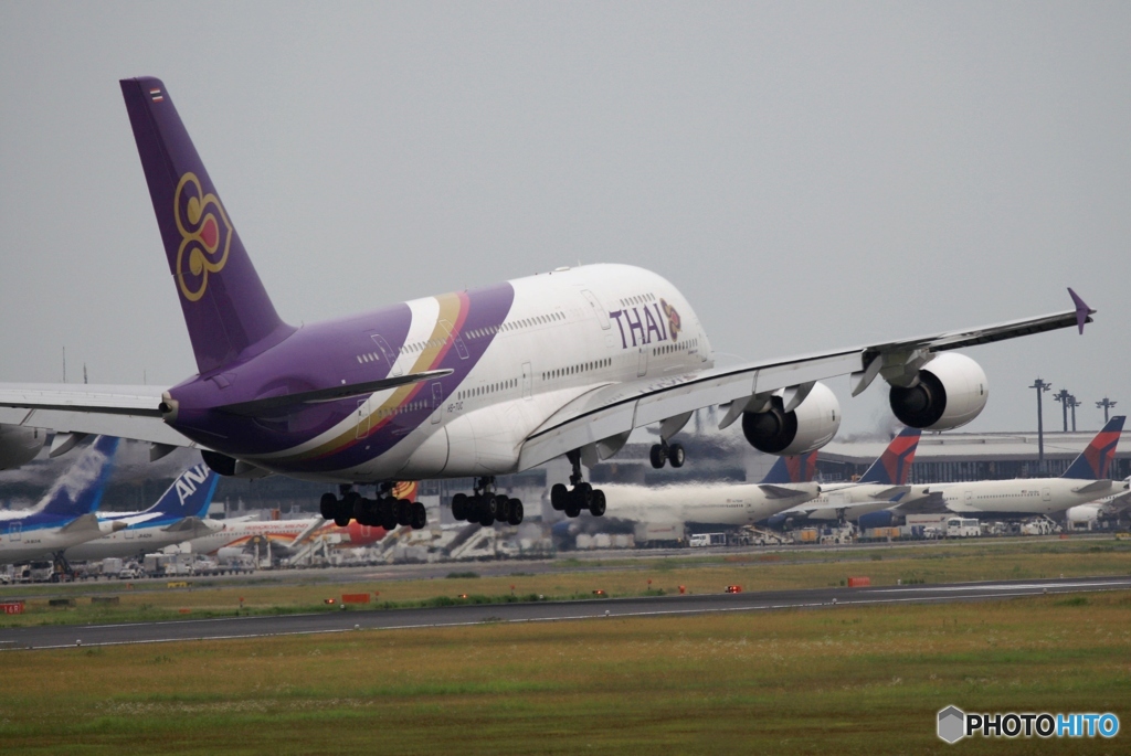 THAI A380-841曇り