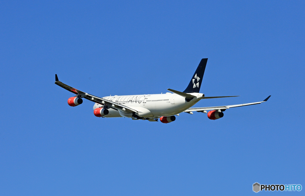 「青空」 SAS A340-313 OY-KBM飛び立ち