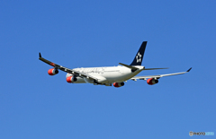 「青空」 SAS A340-313 OY-KBM飛び立ち