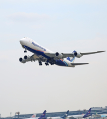 ☀NCA 747-8KZF JA18KZ Takeoff
