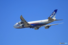 ☀NCA 747-8KZF JA14KZジャンボ保存委員会