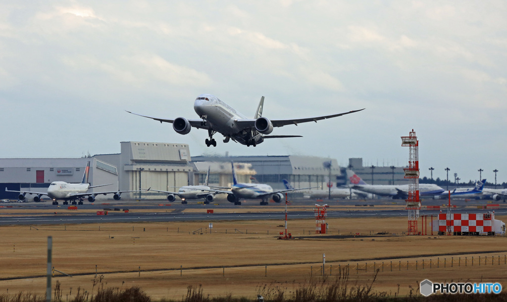 Air New Zealand B787-9 ZK-NZC飛び立ち　