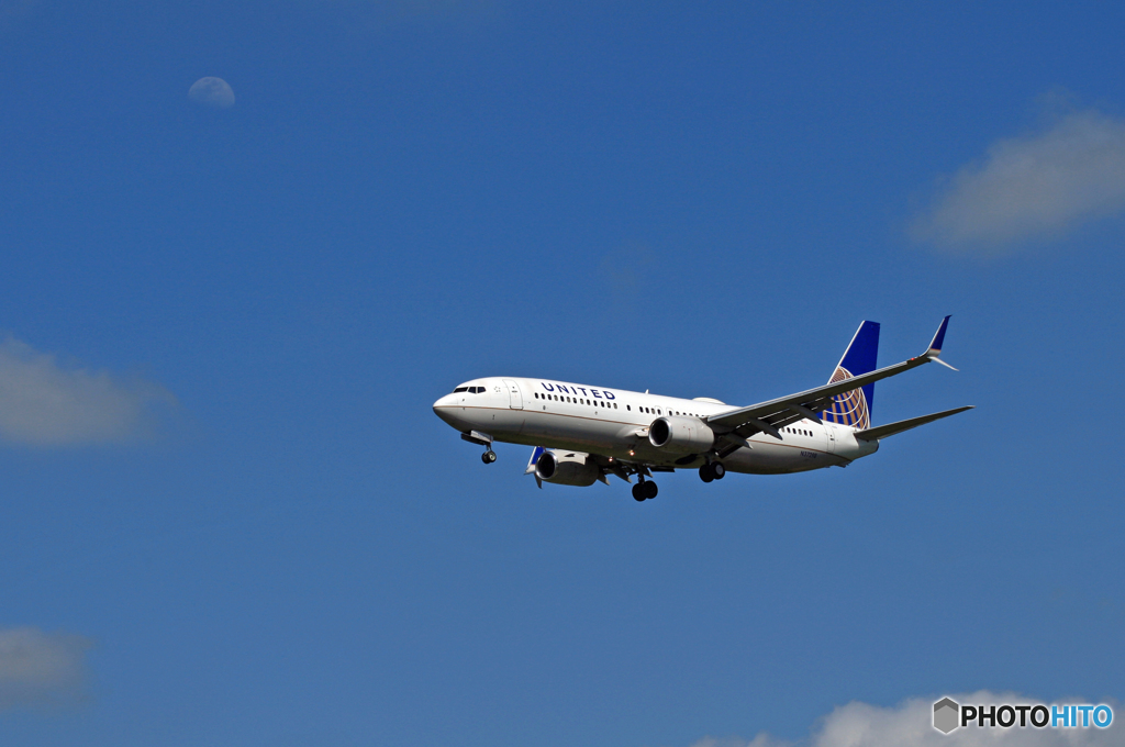 [青空]United 737-800 N37298ｼﾐﾀｰﾙｳｲﾝｸﾞﾚｯﾄ