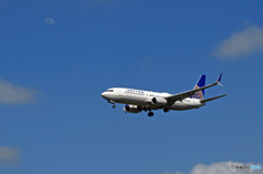 [青空]United 737-800 N37298ｼﾐﾀｰﾙｳｲﾝｸﾞﾚｯﾄ