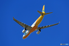 「青い空」が一番 CEBU A320-214 RP-C3342飛び立ち