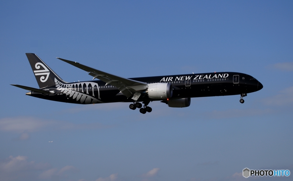 Air New Zealand 「All Blacks」787-9 ZK-NZE