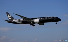 Air New Zealand 「All Blacks」787-9 ZK-NZE