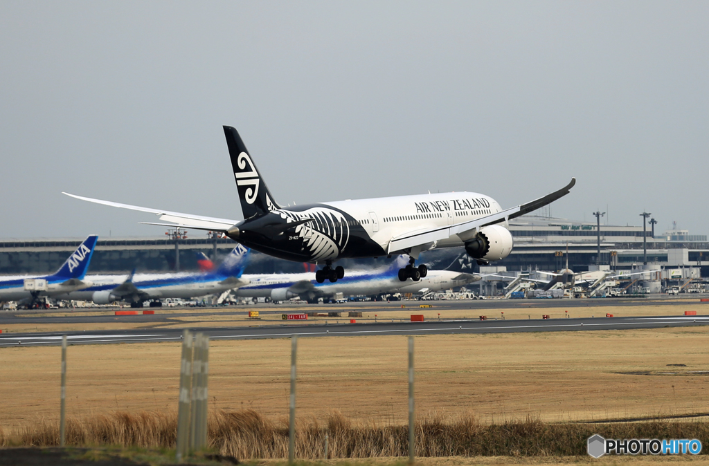 「すかい」 Air NZ' 787-9 ZK-NZD Landing