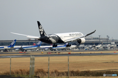 「すかい」 Air NZ' 787-9 ZK-NZD Landing