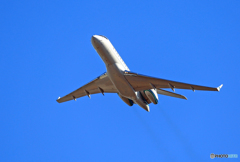 ☀private:ウィルミントン BD-700 N115MH☀