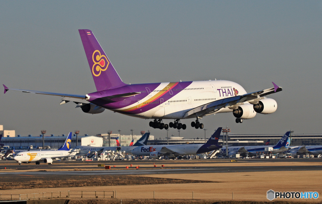 ✈THAI A380-841 HS-TUE