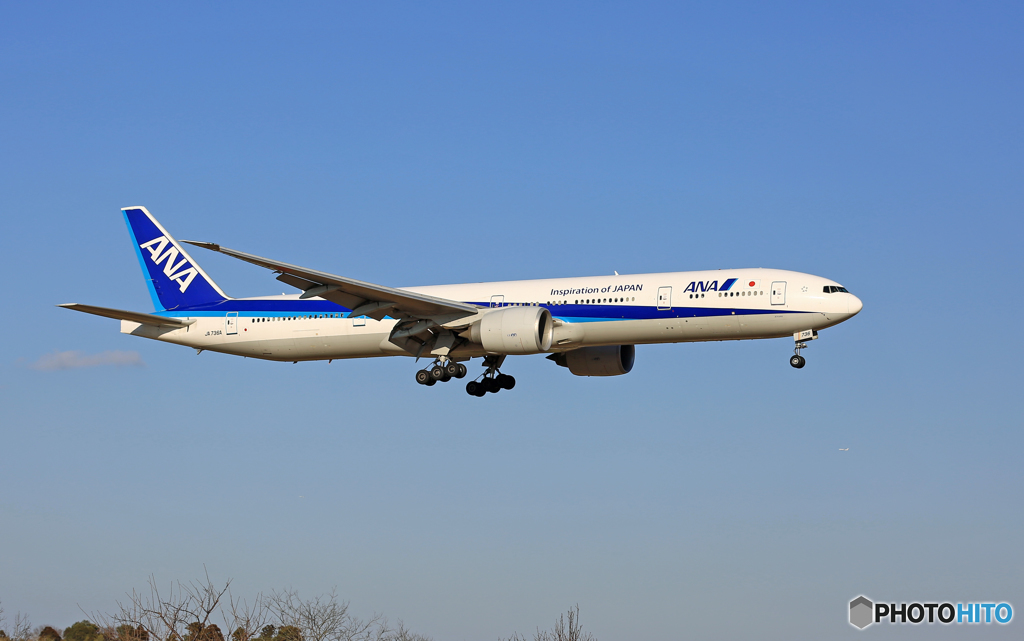 到着 ANA 777-381 JA736A