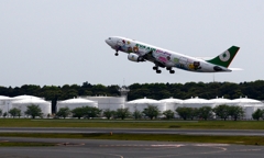 Hello　Kitty（２）