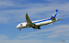 「青い空」 ANA 787-8 JA805A