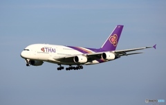 THAI A380-841  着陸　