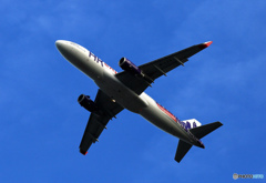 Hkexpress A320-232 B-LCG 飛び立ち　