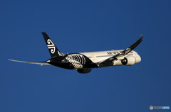 飛び立ち　Air New Zealand 787-9 ZK-NZG