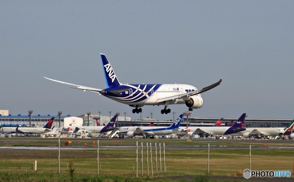 ANA 787-8 JA802A 着陸 