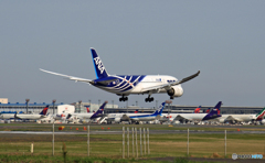 ANA 787-8 JA802A 着陸 