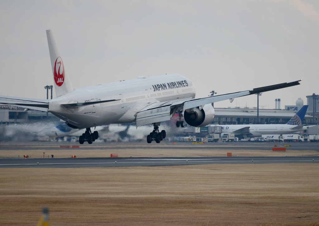 JAL 777-300 到着