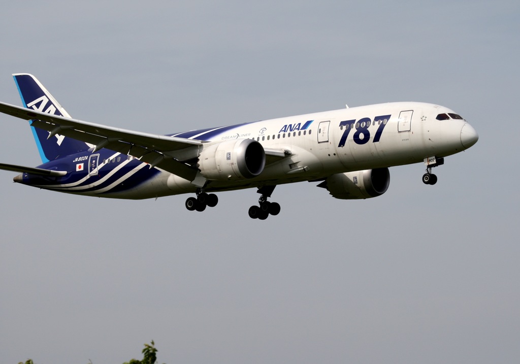 ANA 787-8 着陸　