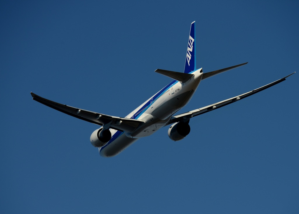 ANA 777-300 離陸