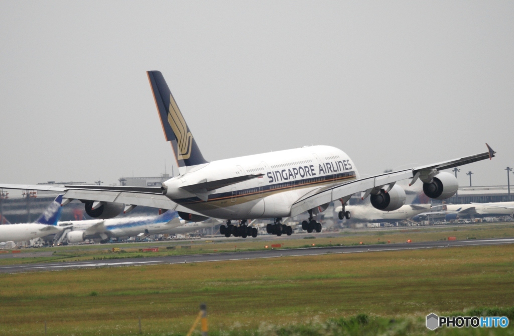 Singapore A380-841 着陸　