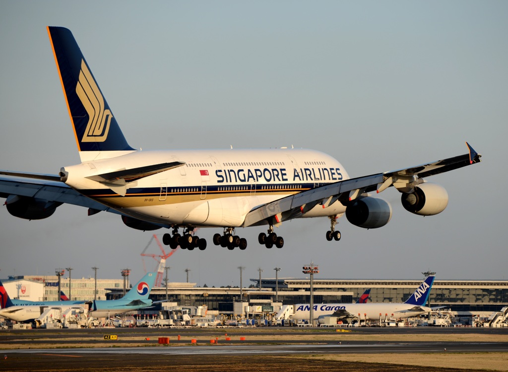 着陸  SINGAPORE A380-841 